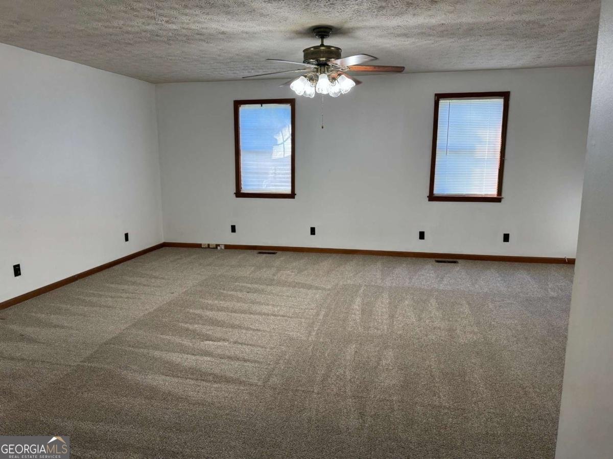 313 Carter Street Greenville - Photo 10