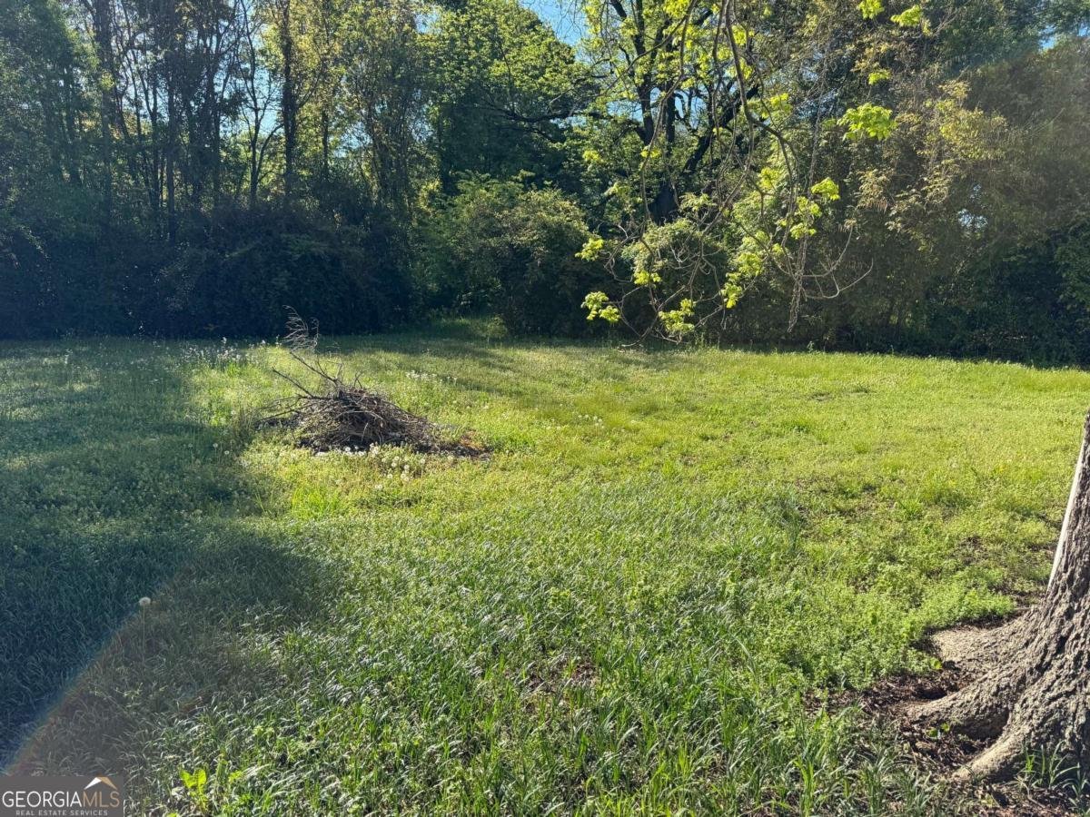 313 Carter Street Greenville - Photo 18