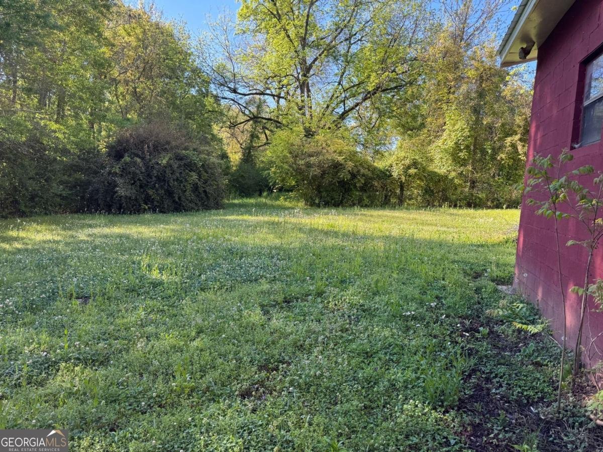313 Carter Street Greenville - Photo 20