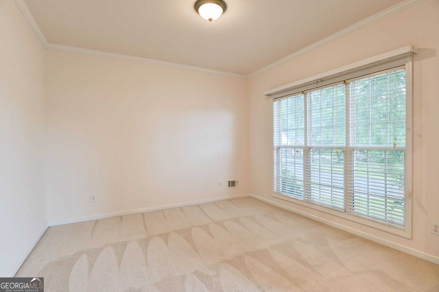 233 Thorn Berry Way Conyers - Photo 18