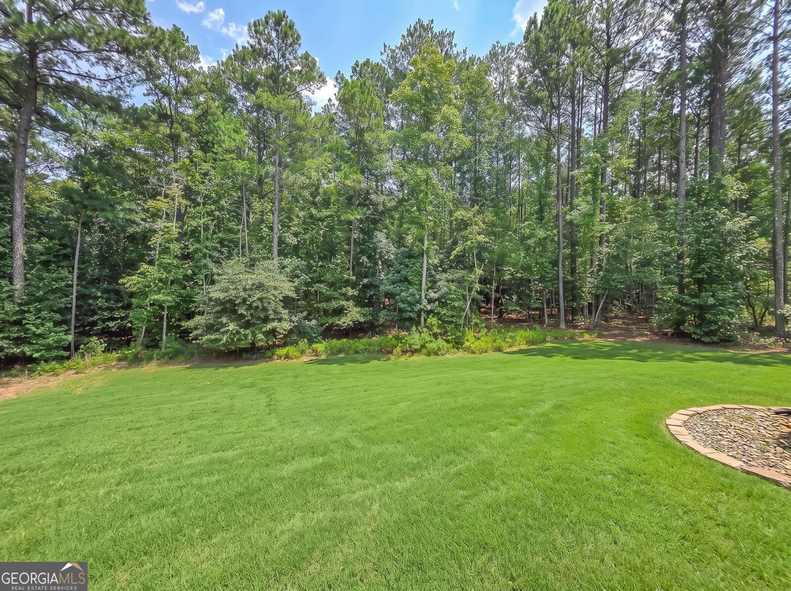 149 Palomino Circle Newnan - Photo 52