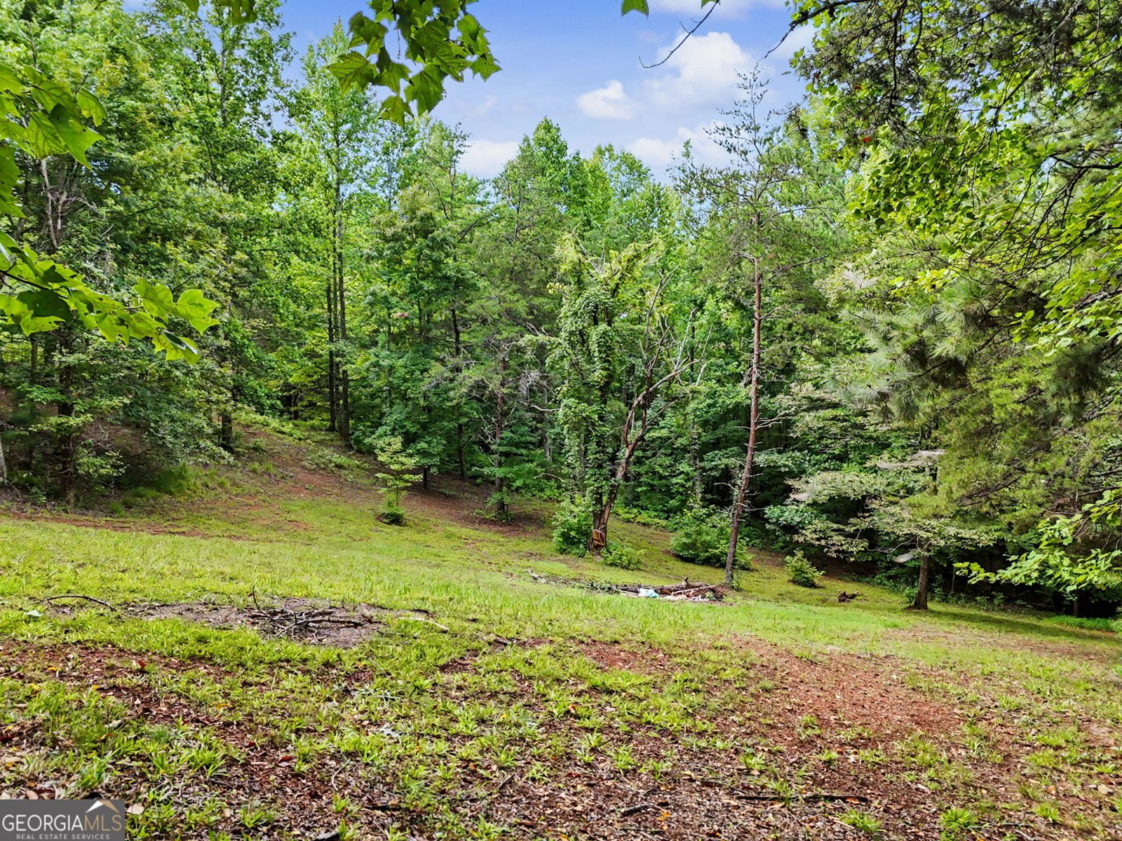 285 Sunset Valley Road Cleveland - Photo 88