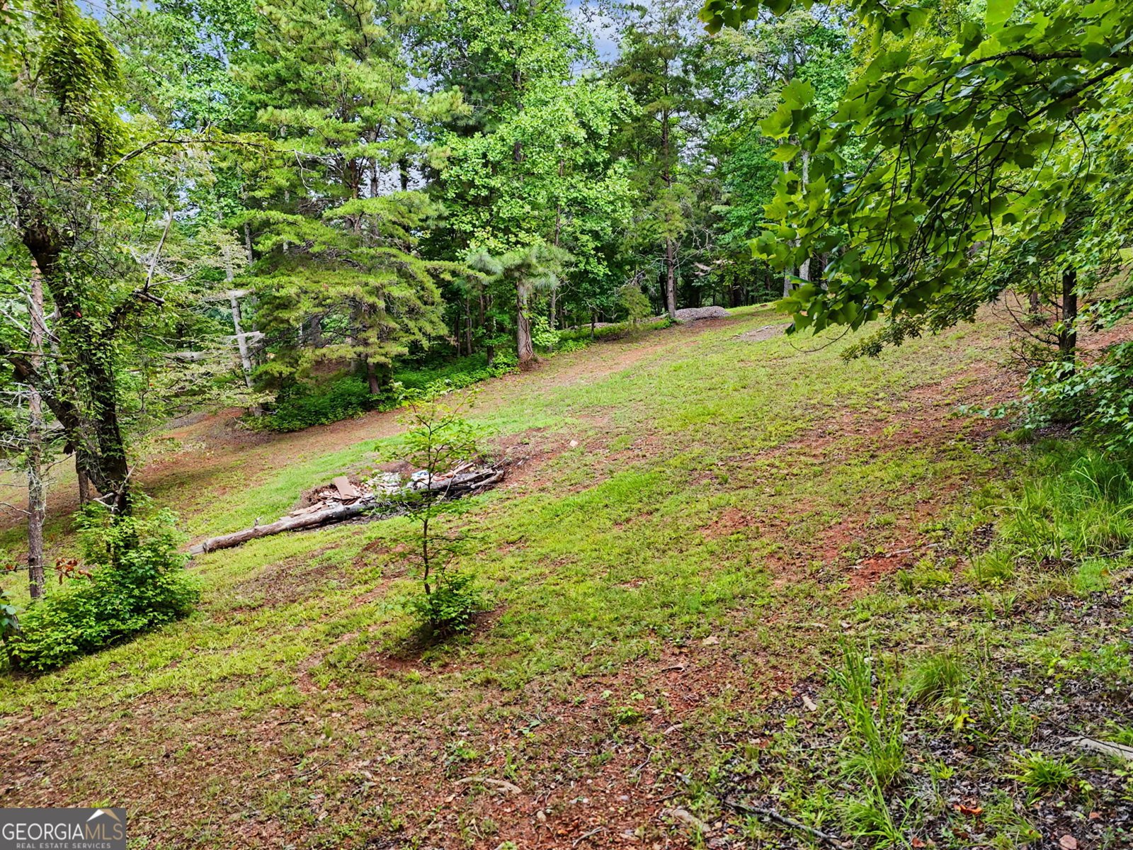 285 Sunset Valley Road Cleveland - Photo 89