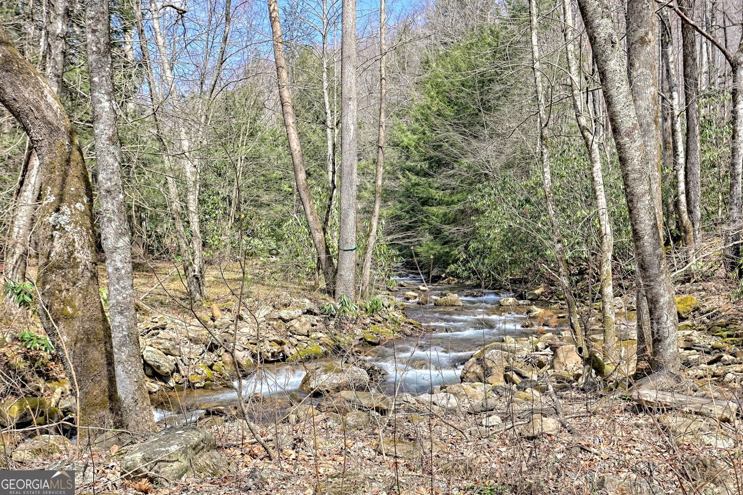 2960 Tate City Road hayesville - Photo 42