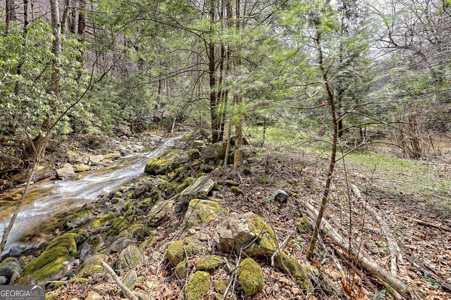 2960 Tate City Road hayesville - Photo 48