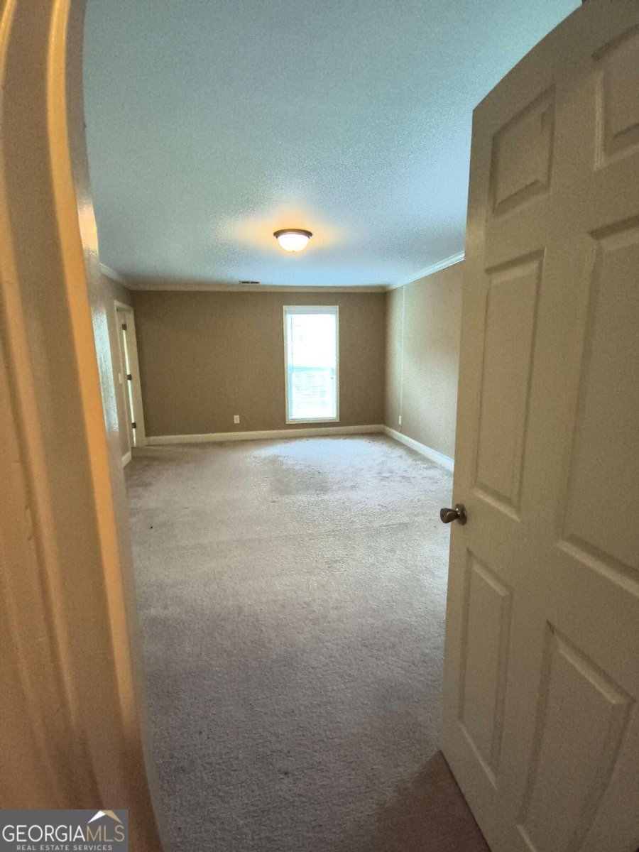 5538 Mossy View Drive Douglasville - Photo 60