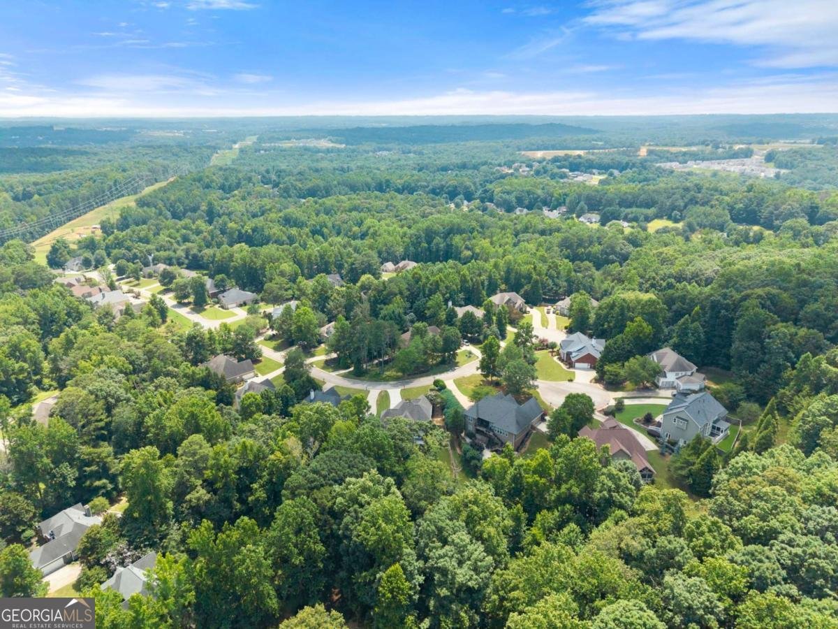 5620 Battle Ridge Drive Flowery Branch - Photo 49