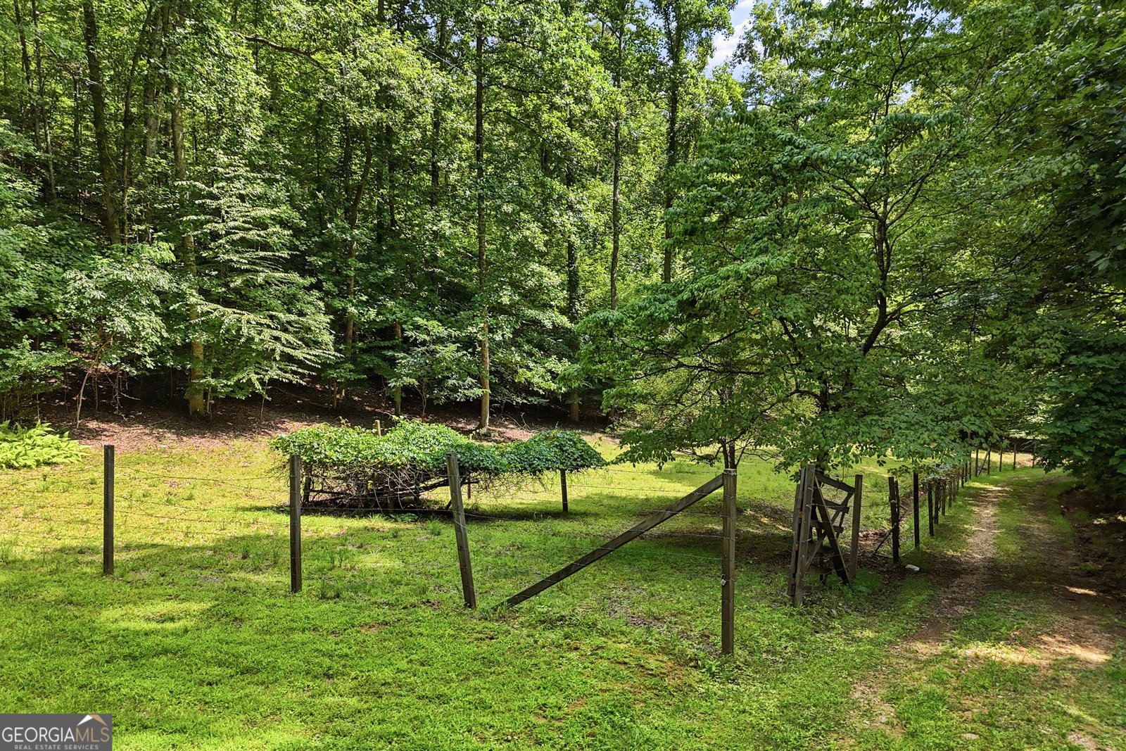 467 Gilliam Road Mineral Bluff - Photo 12