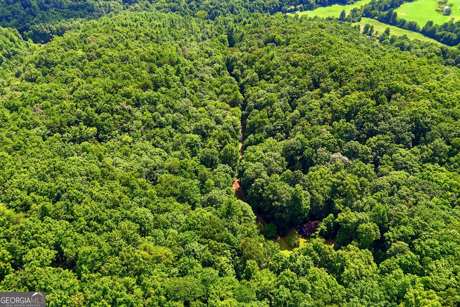 467 Gilliam Road Mineral Bluff - Photo 13