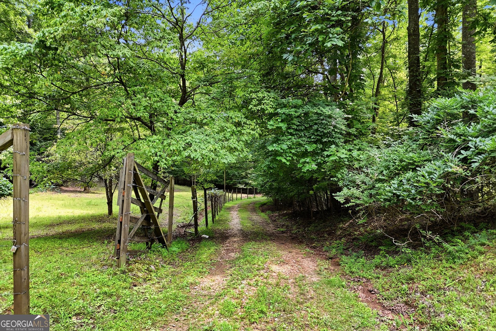 467 Gilliam Road Mineral Bluff - Photo 15