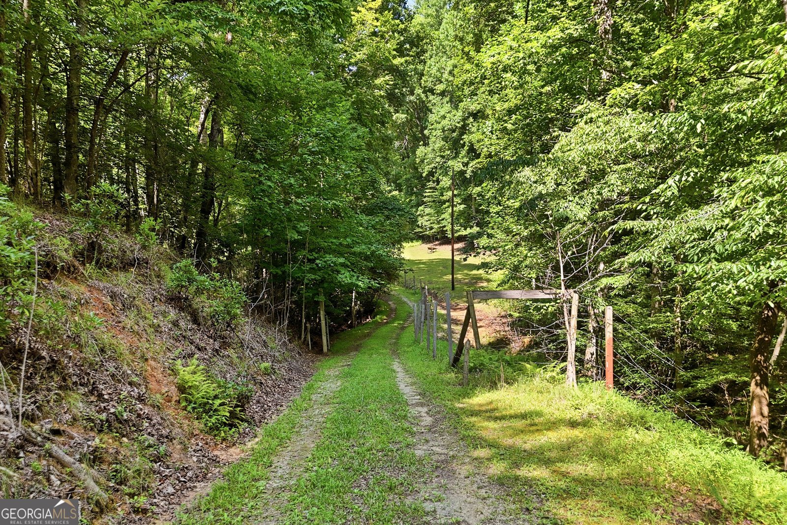 467 Gilliam Road Mineral Bluff - Photo 17