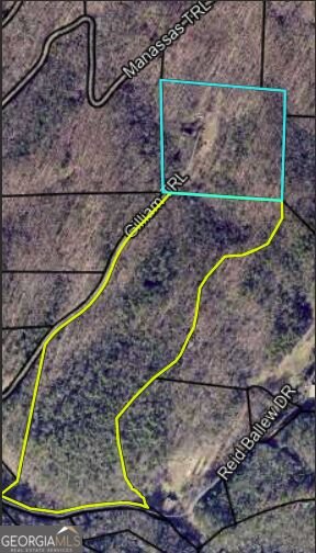 467 Gilliam Road Mineral Bluff - Photo 21