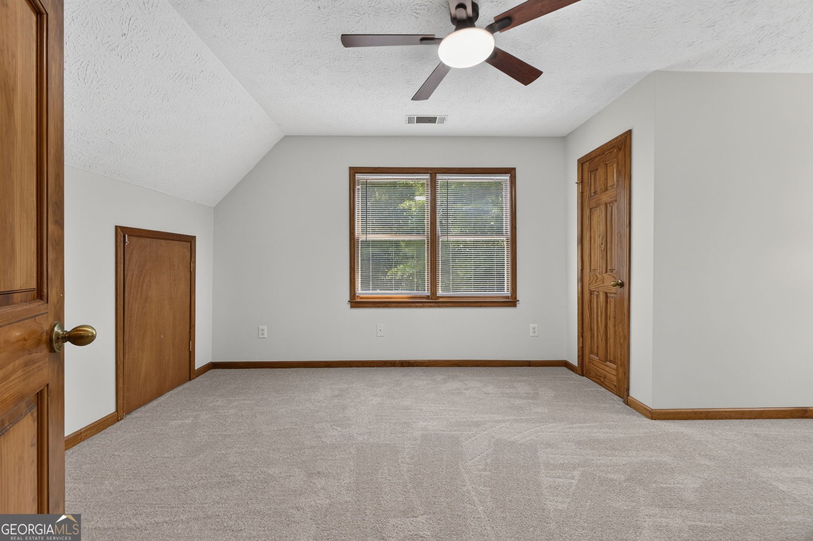 421 S Mount Carmel Road McDonough - Photo 51