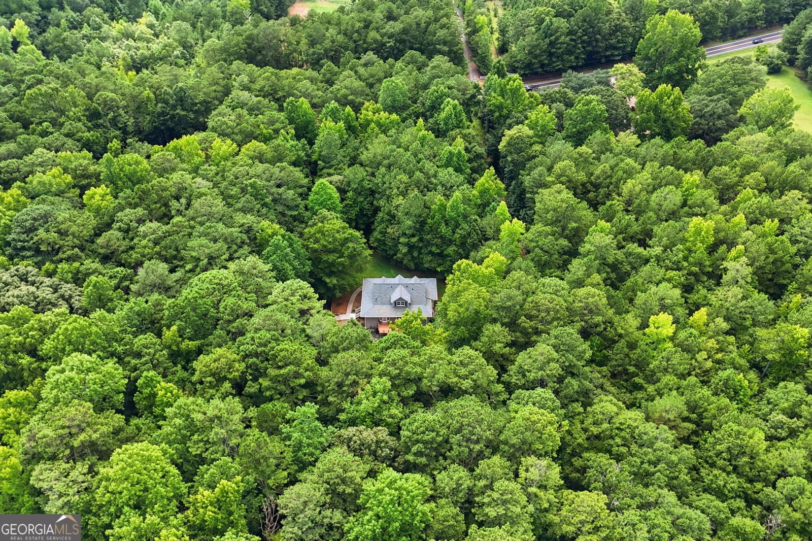 421 S Mount Carmel Road McDonough - Photo 60