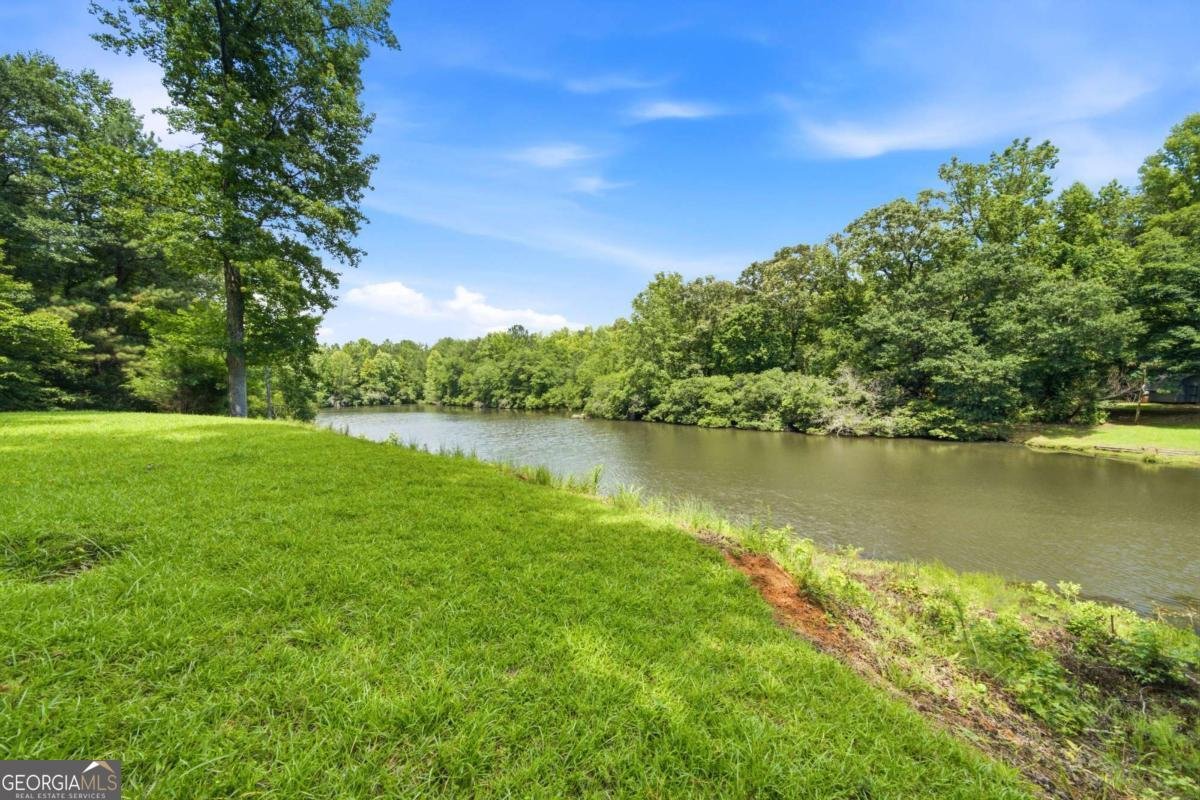 5070 River Lake Drive Chattahoochee Hills - Photo 7