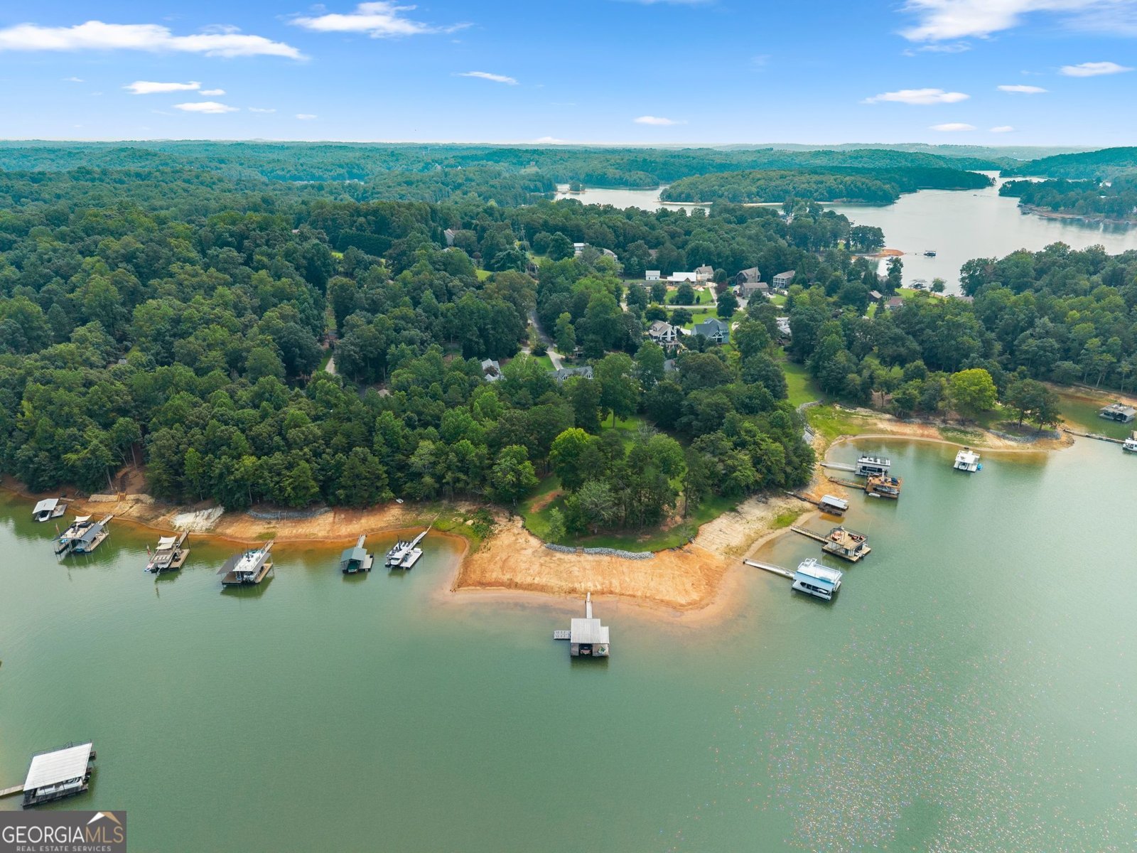 69 Winterhawk Cove Dawsonville - Photo 108