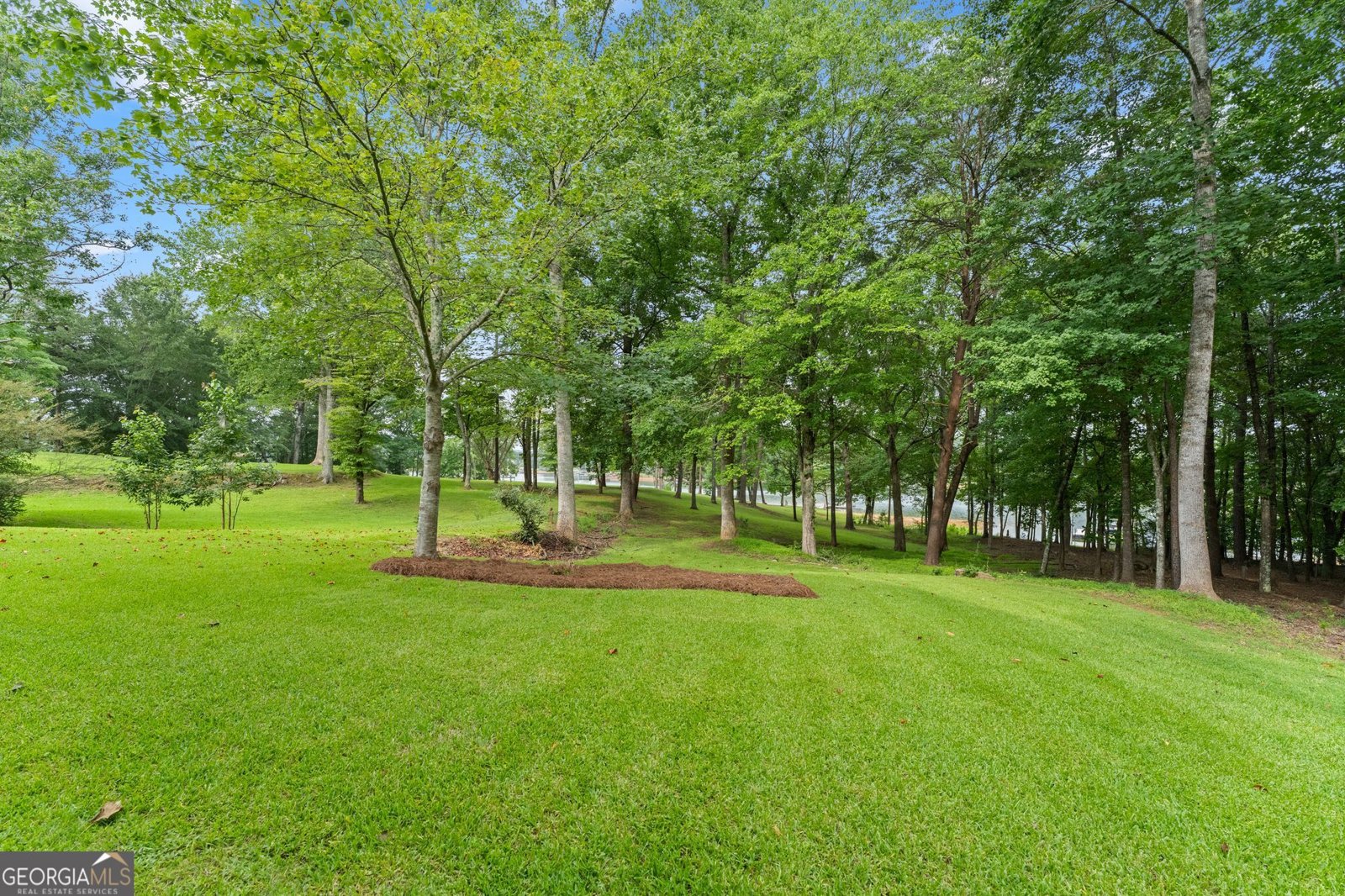 69 Winterhawk Cove Dawsonville - Photo 115