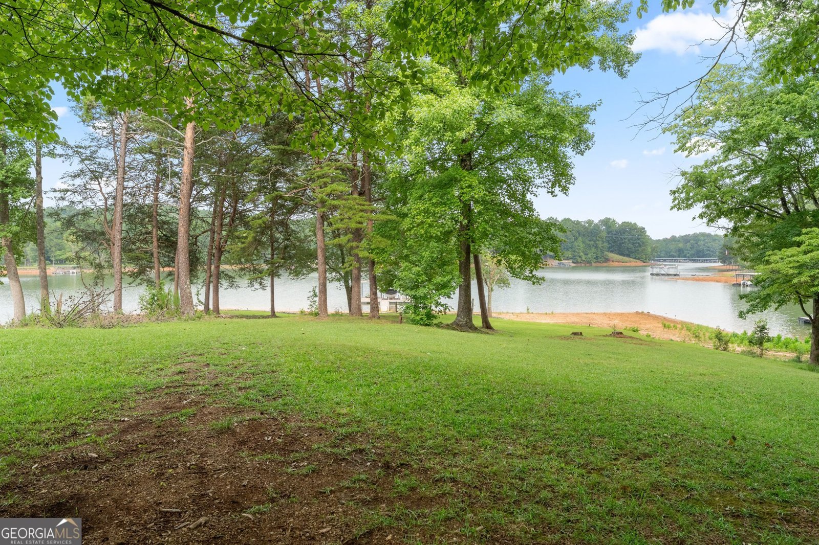 69 Winterhawk Cove Dawsonville - Photo 6