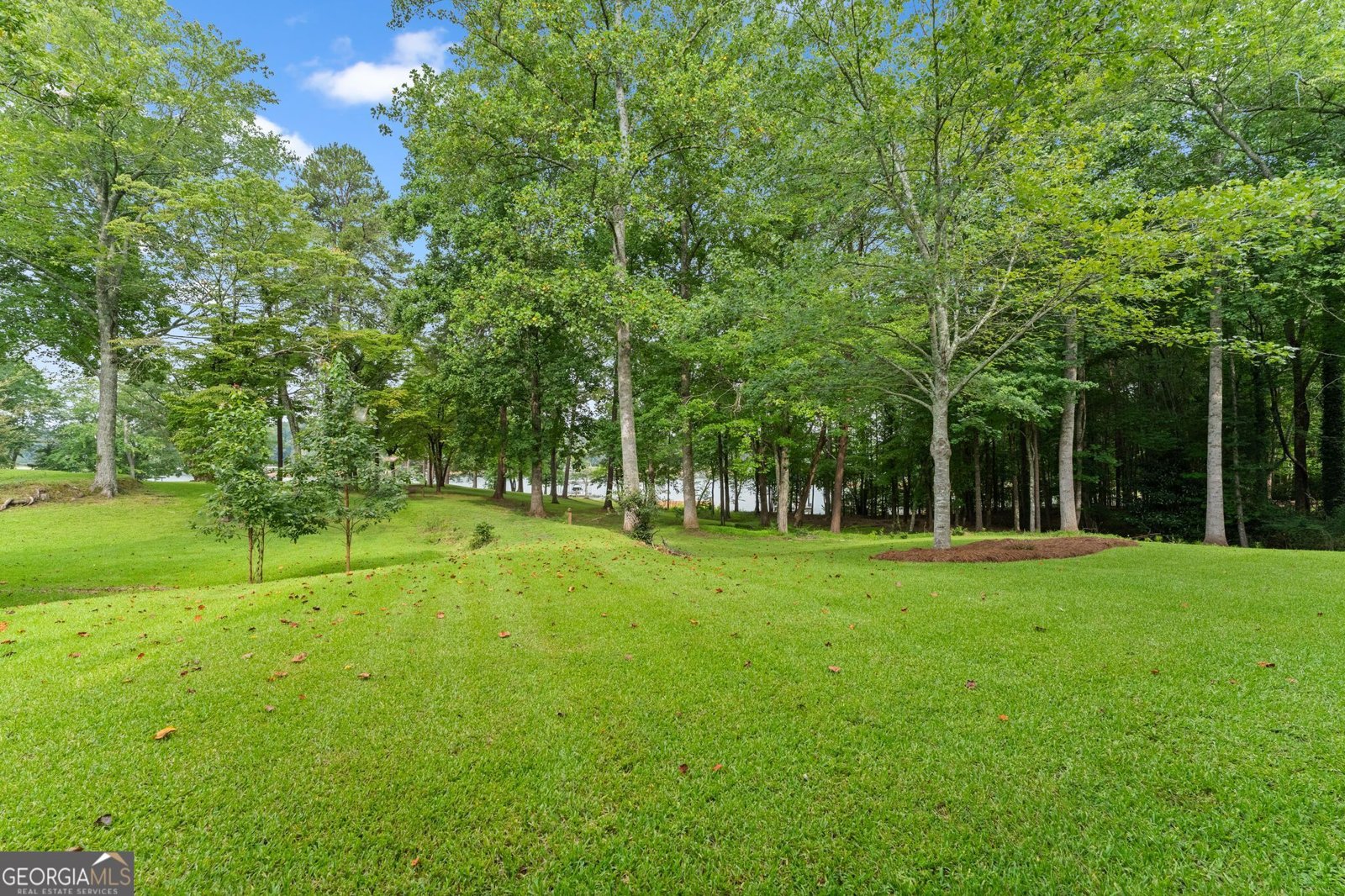 69 Winterhawk Cove Dawsonville - Photo 96