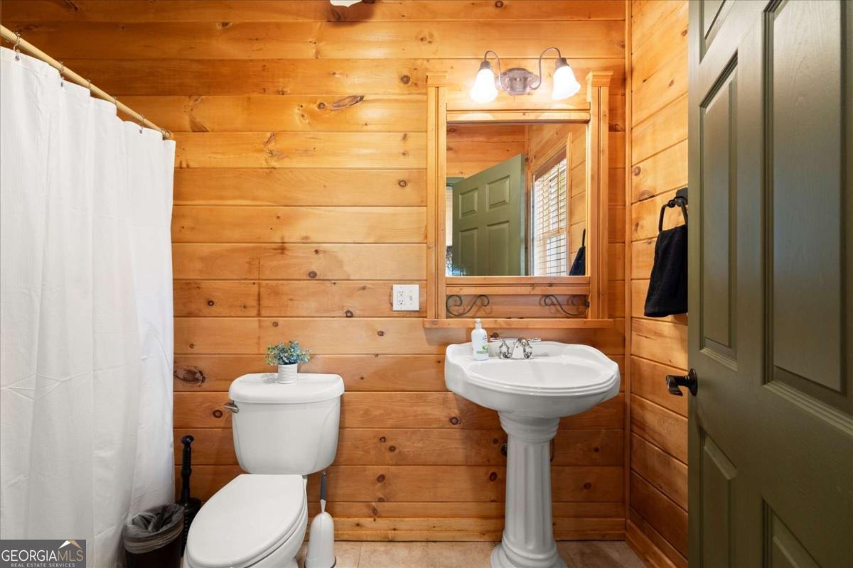 15 Hyalite Road Dahlonega - Photo 54