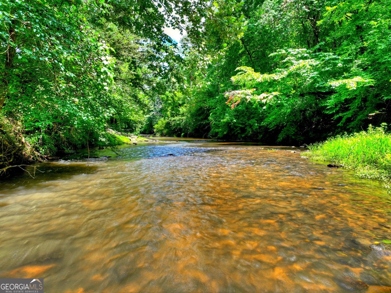 260 Misty Valley Ellijay - Photo 49