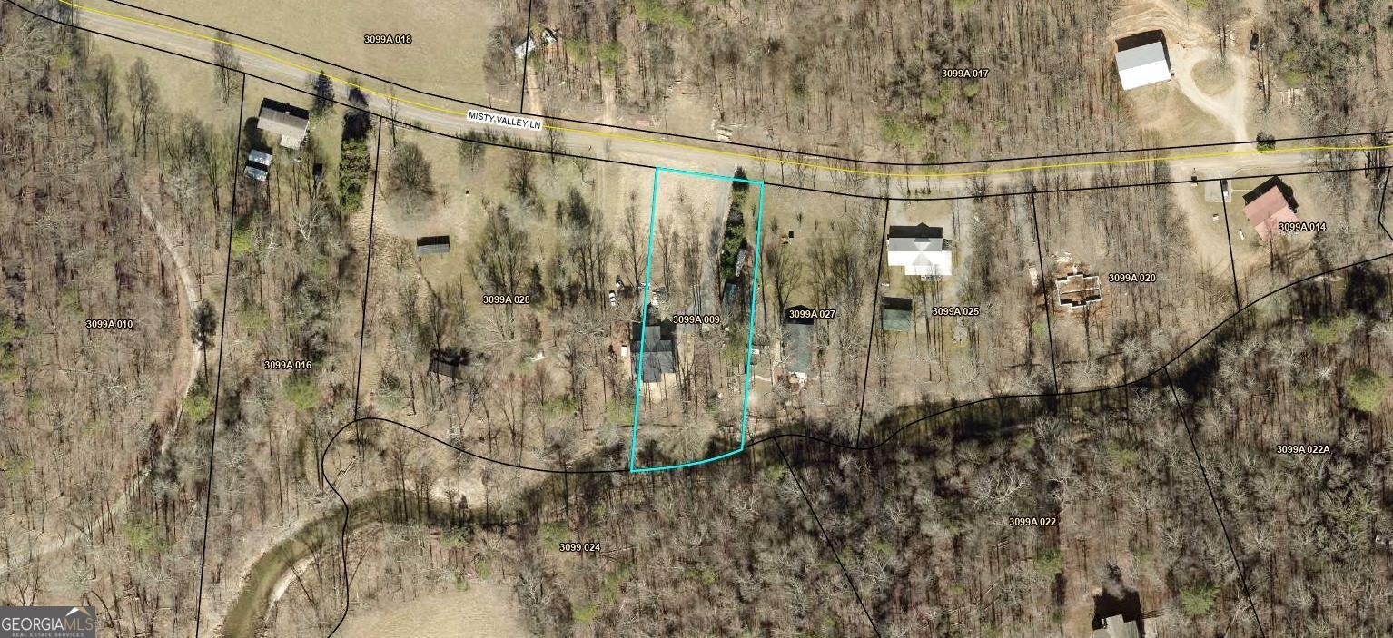 260 Misty Valley Ellijay - Photo 59