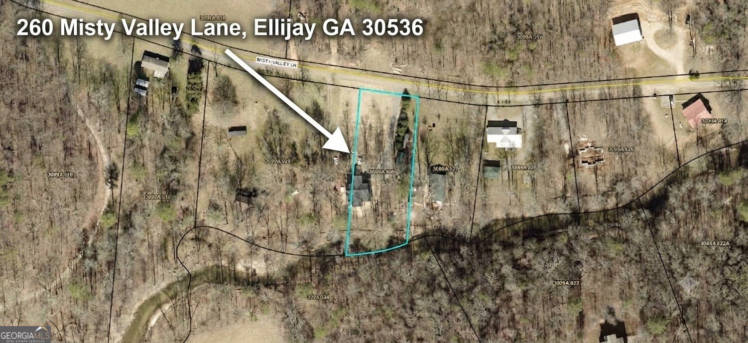 260 Misty Valley Ellijay - Photo 61
