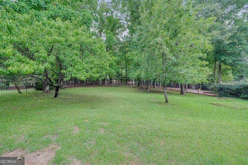 1011 Fairway Valley Drive Woodstock - Photo 47