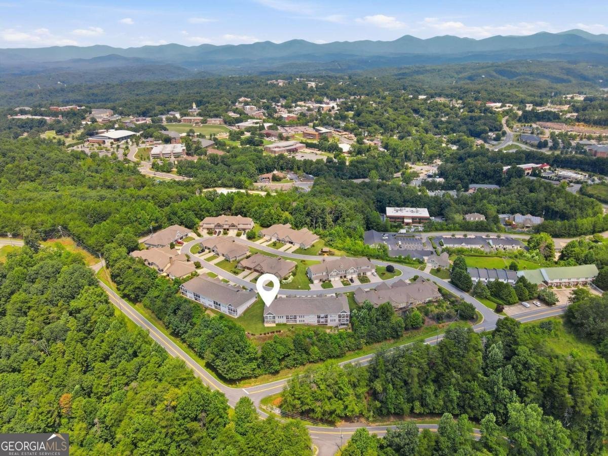 222 Village Drive Dahlonega - Photo 61