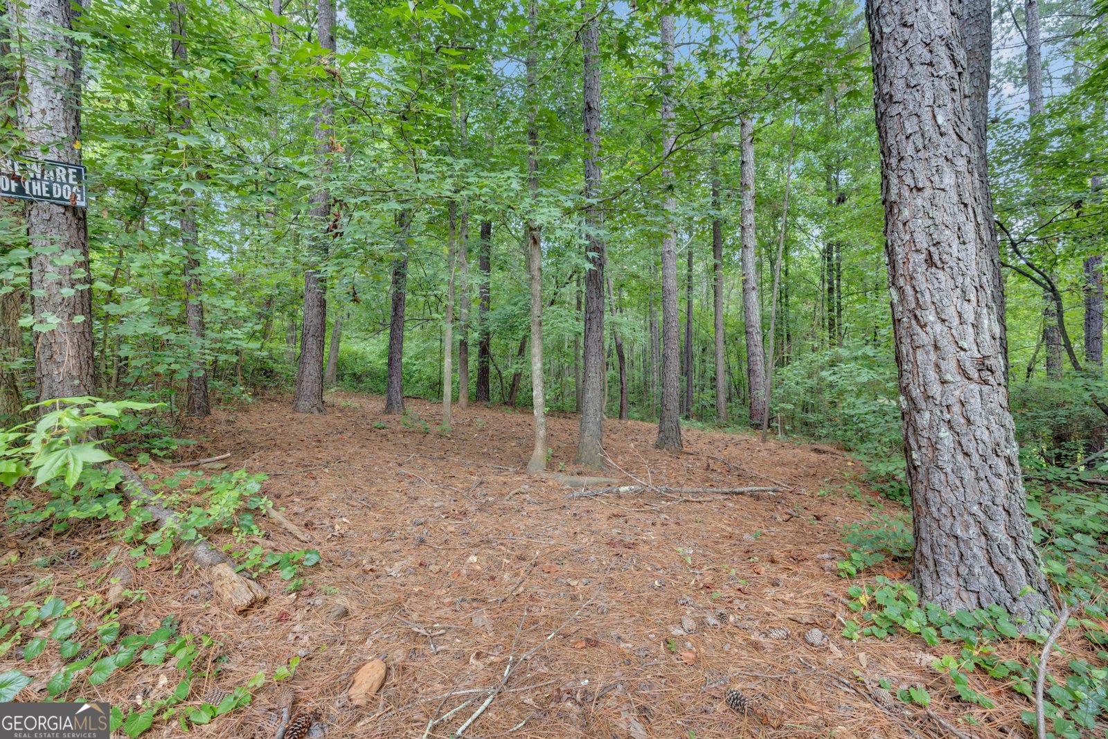 200 Cedar Road Covington - Photo 46