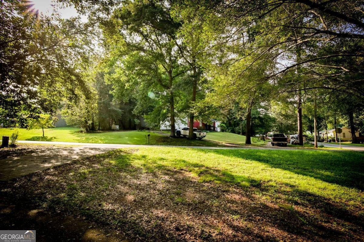 329 Marlborough Downs Road Athens - Photo 32