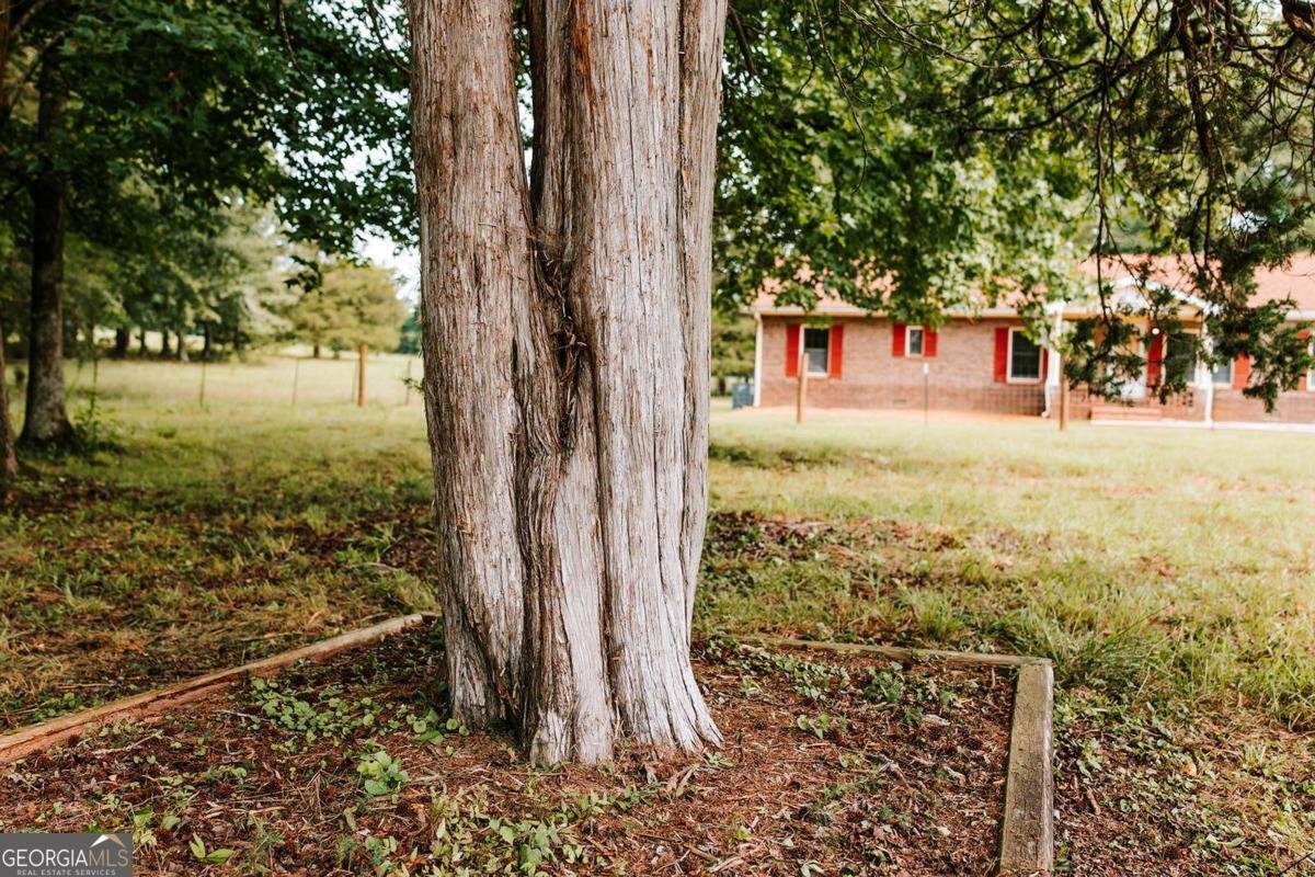 621 Elberton Road Lexington - Photo 39