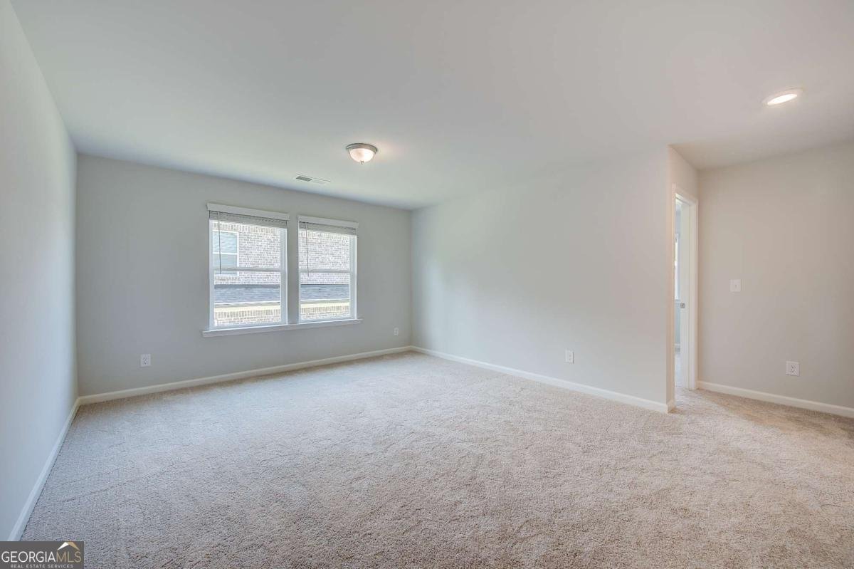 397 Enchanted Springs Court Mcdonough - Photo 20