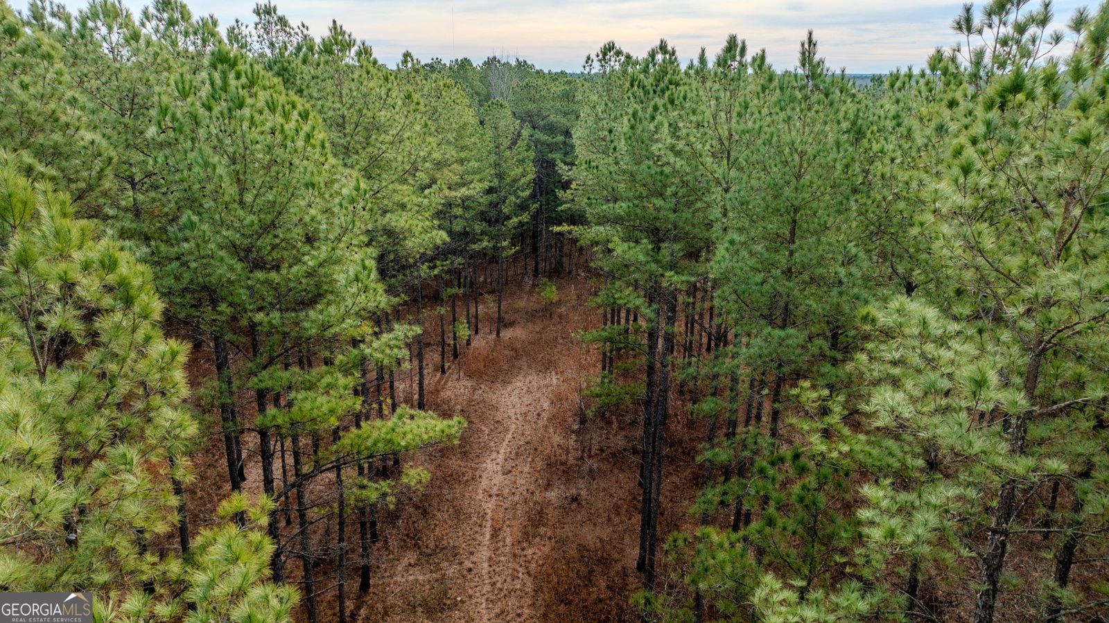 8817 Highway 100 Hogansville - Photo 70