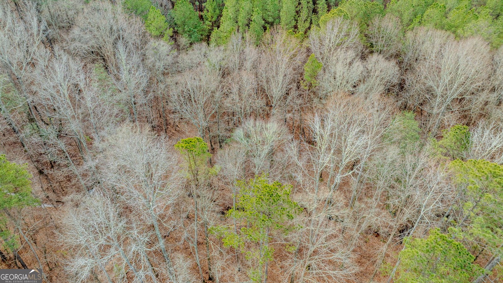 8817 Highway 100 Hogansville - Photo 80
