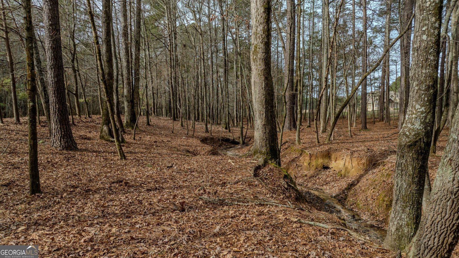 8817 Highway 100 Hogansville - Photo 99