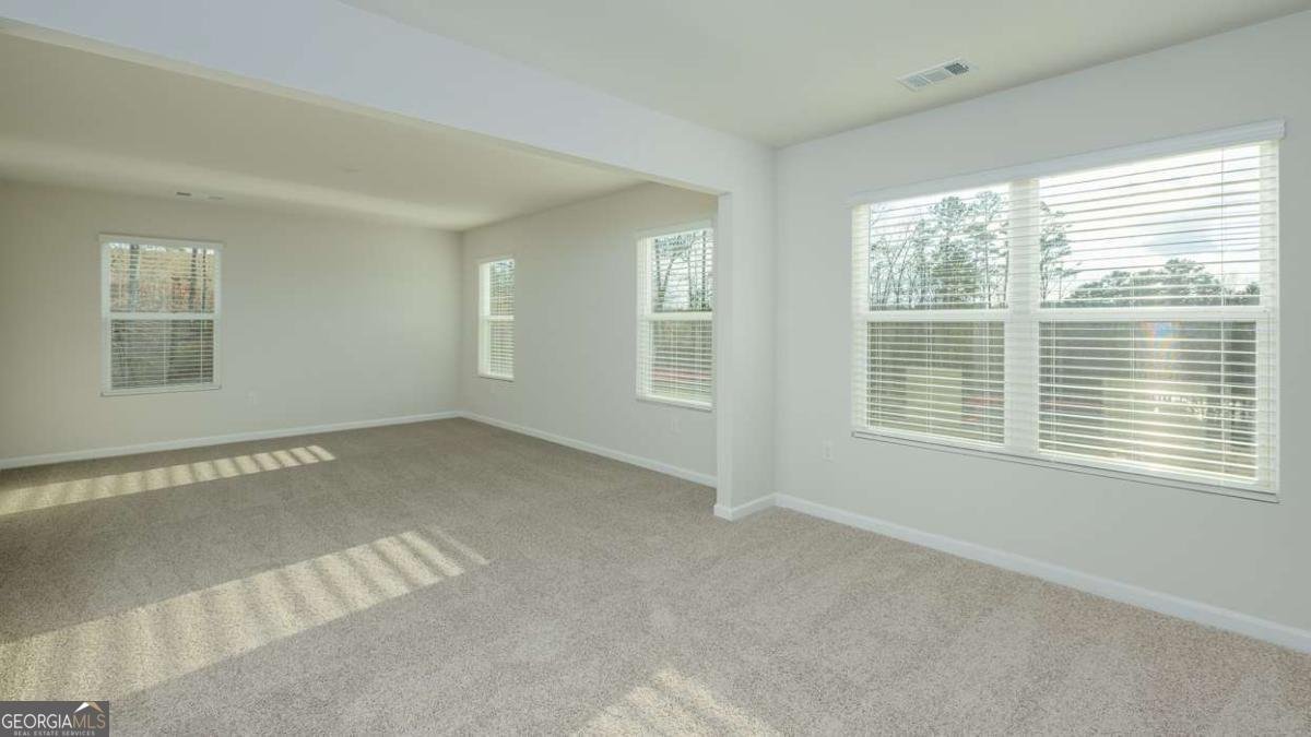 2241 Edgecombe Lane Dacula - Photo 21