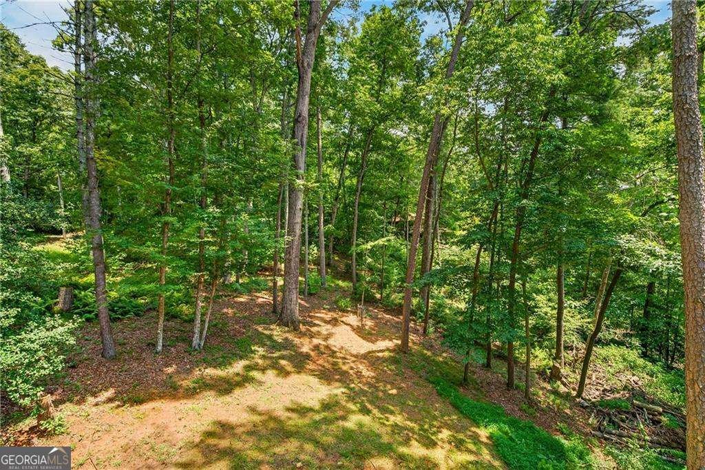 649 Power Dam Road Blue Ridge - Photo 38
