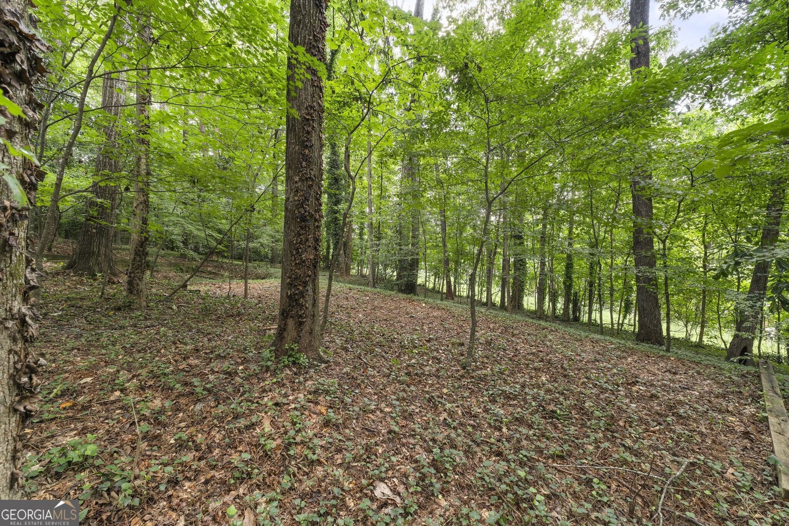 3886 Harts Mill Lane Brookhaven - Photo 46