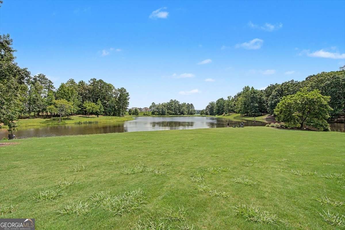 118 Gaston Court Hoschton - Photo 47
