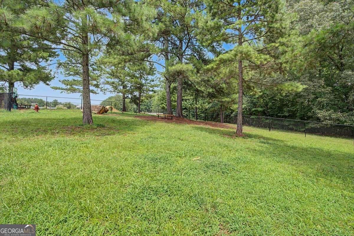 118 Gaston Court Hoschton - Photo 48