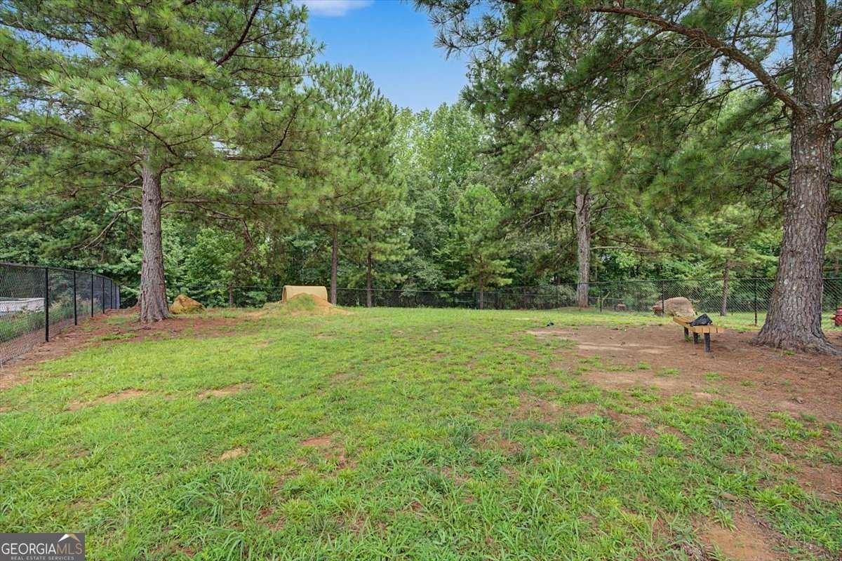 118 Gaston Court Hoschton - Photo 49