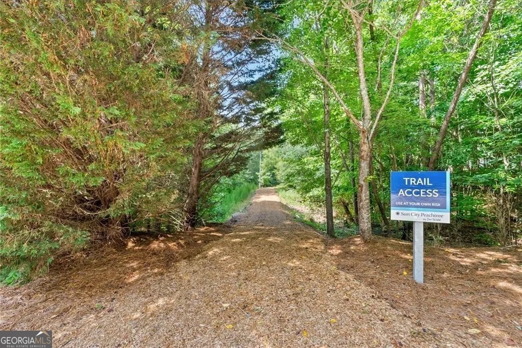 610 Larch Looper Drive Griffin - Photo 22