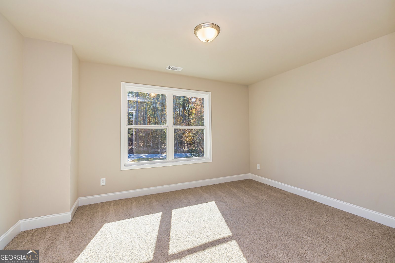 5535 Hwy 155 (Lot 3) Stockbridge - Photo 48
