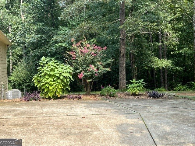 1014 Miss Amber Way Locust Grove - Photo 17