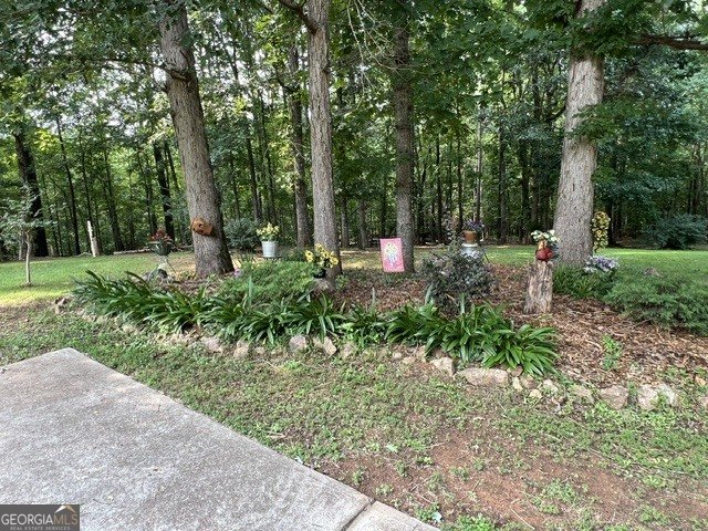 1014 Miss Amber Way Locust Grove - Photo 18