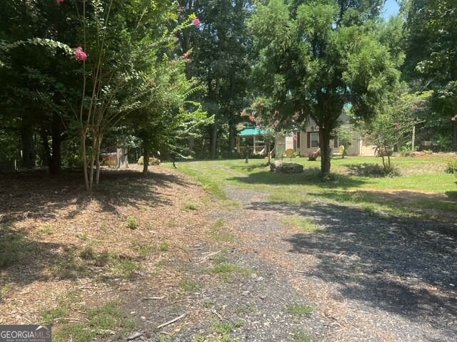 1014 Miss Amber Way Locust Grove - Photo 47