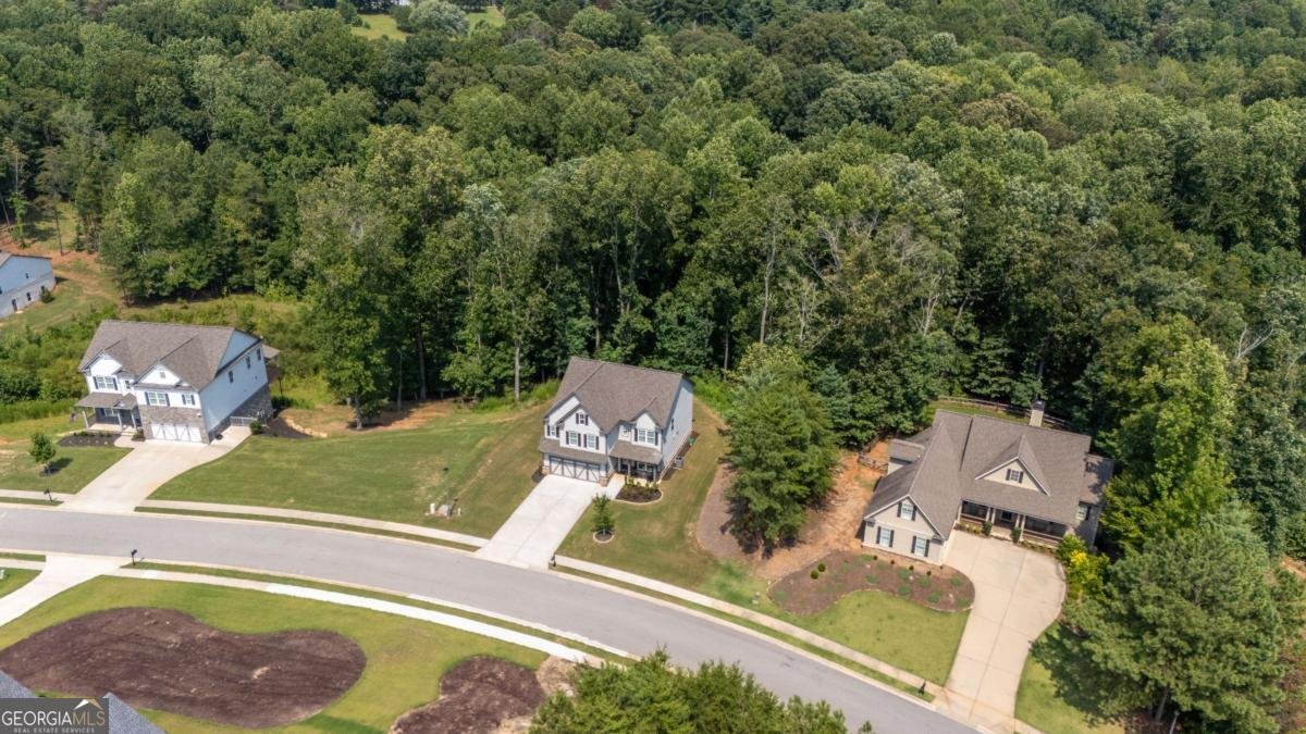3612 Castoff Court Gainesville - Photo 56
