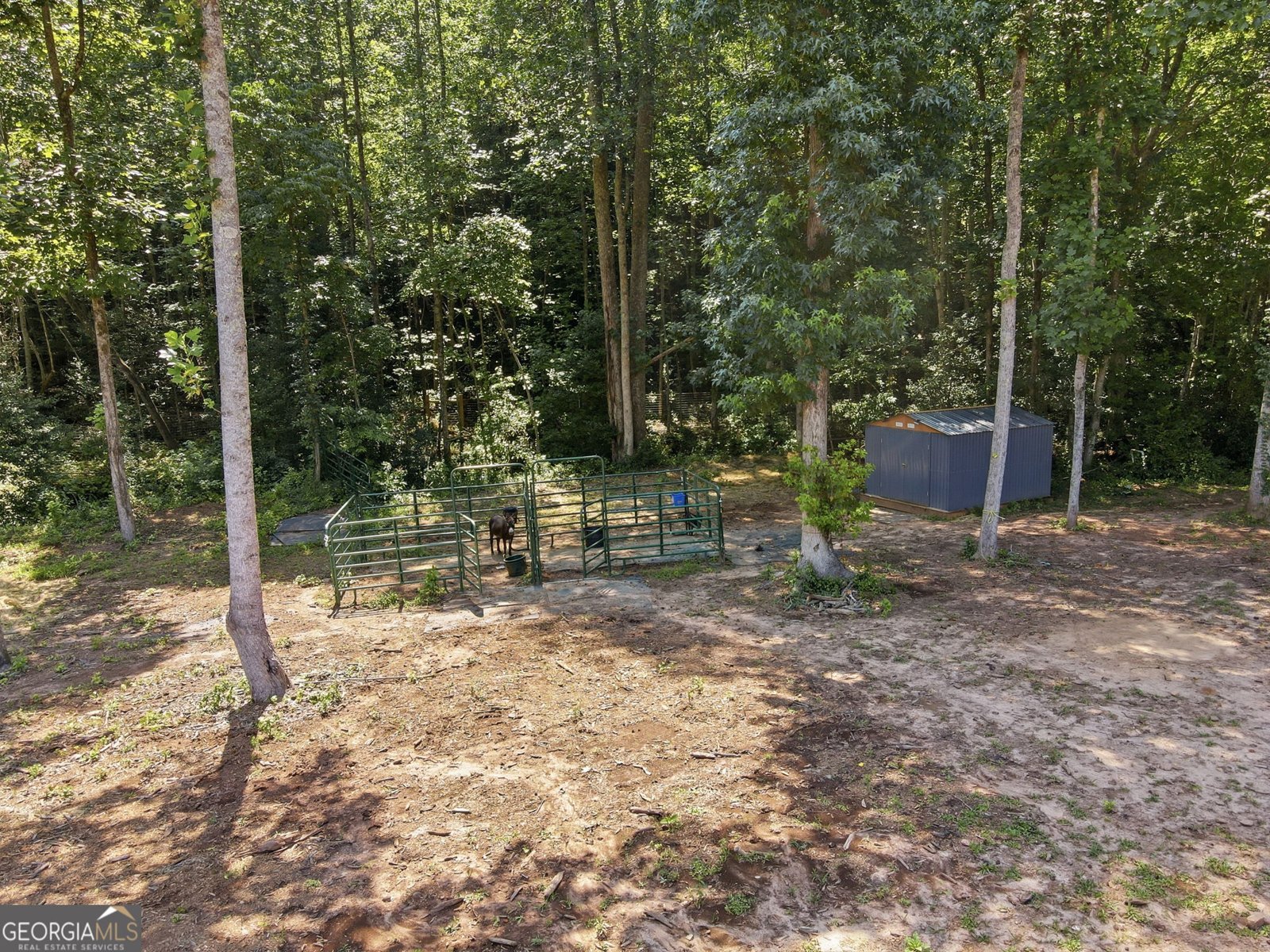 171 Hat Creek Ridge Dawsonville - Photo 7
