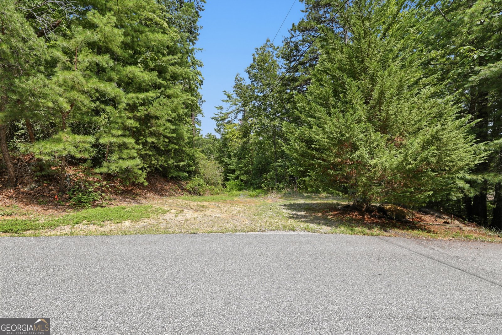 411 Hickory Nut Mountain Tallulah Falls - Photo 32